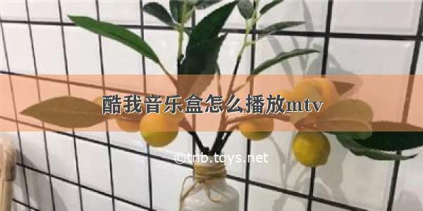 酷我音乐盒怎么播放mtv