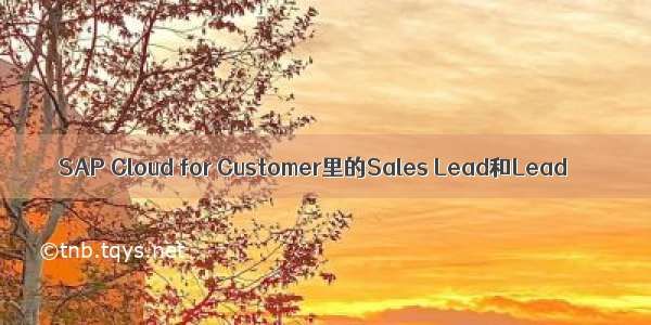SAP Cloud for Customer里的Sales Lead和Lead