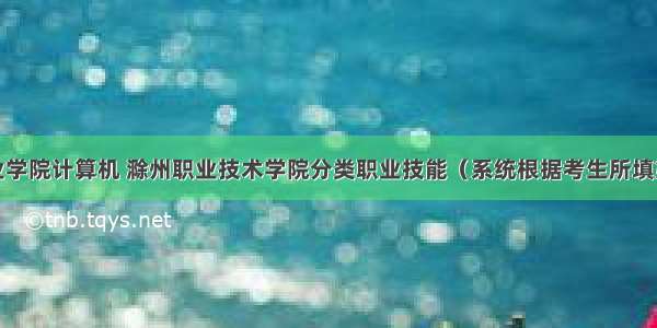 滁州职业学院计算机 滁州职业技术学院分类职业技能（系统根据考生所填第一志愿