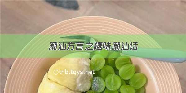 潮汕方言之趣味潮汕话