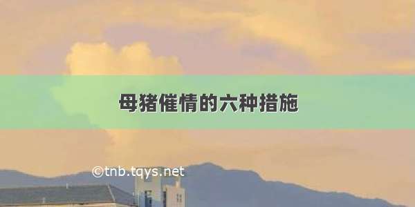 母猪催情的六种措施