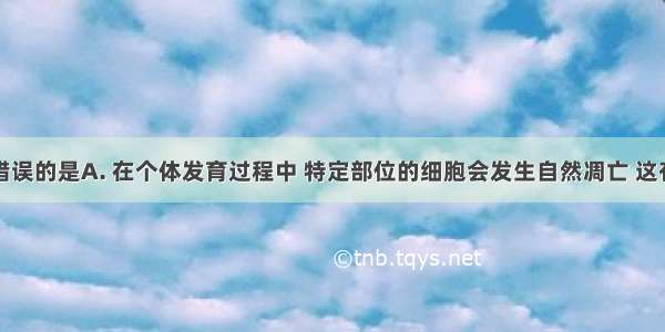 下列说法错误的是A. 在个体发育过程中 特定部位的细胞会发生自然凋亡 这有利于器官