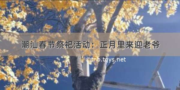 潮汕春节祭祀活动：正月里来迎老爷