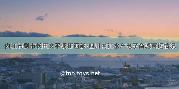 内江市副市长田文平调研西部·四川内江水产电子商城营运情况