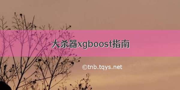 大杀器xgboost指南