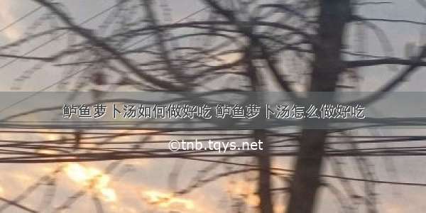 鲈鱼萝卜汤如何做好吃 鲈鱼萝卜汤怎么做好吃