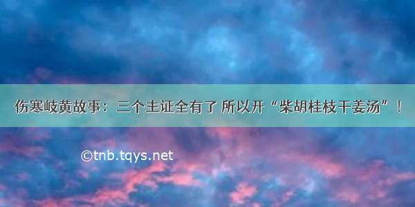 伤寒岐黄故事：三个主证全有了 所以开“柴胡桂枝干姜汤”！