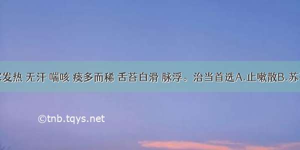 病人恶寒发热 无汗 喘咳 痰多而稀 舌苔白滑 脉浮。治当首选A.止嗽散B.苏子降气汤