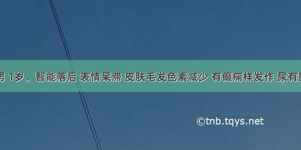 (2001)男 1岁。智能落后 表情呆滞 皮肤毛发色素减少 有癫痫样发作 尿有鼠尿气味