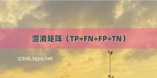 混淆矩阵（TP+FN+FP+TN）