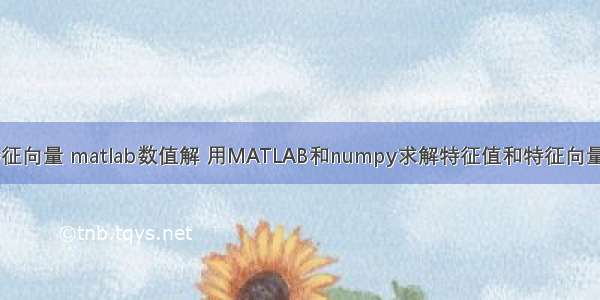 特征值与特征向量 matlab数值解 用MATLAB和numpy求解特征值和特征向量 matlab 与