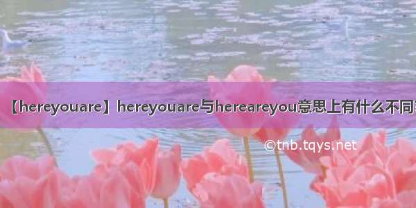 【hereyouare】hereyouare与hereareyou意思上有什么不同?