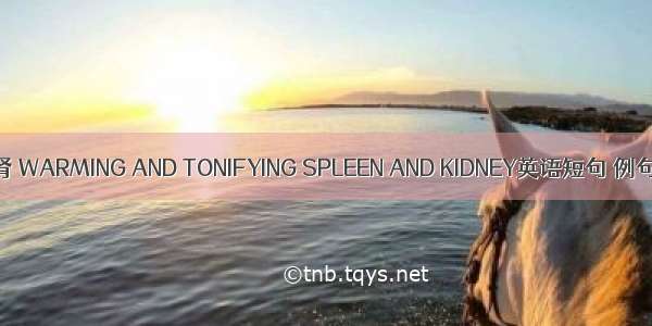 温补脾肾 WARMING AND TONIFYING SPLEEN AND KIDNEY英语短句 例句大全