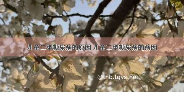 儿童二型糖尿病的原因 儿童二型糖尿病的病因