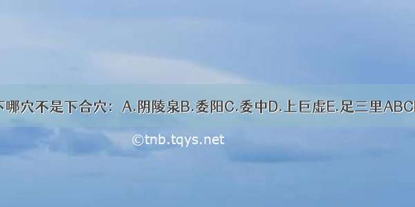 以下哪穴不是下合穴：A.阴陵泉B.委阳C.委中D.上巨虚E.足三里ABCDE