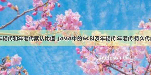 java年轻代和年老代默认比值_JAVA中的GC以及年轻代 年老代 持久代的认识