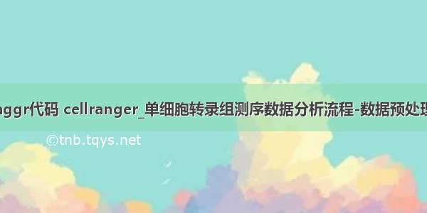 aggr代码 cellranger_单细胞转录组测序数据分析流程-数据预处理