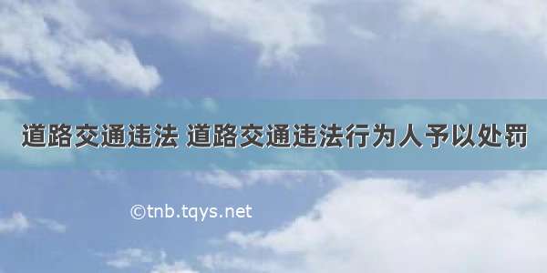 道路交通违法 道路交通违法行为人予以处罚