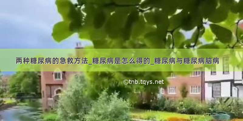 两种糖尿病的急救方法_糖尿病是怎么得的_糖尿病与糖尿病脑病