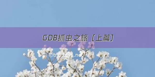 GDB抓虫之旅（上篇）