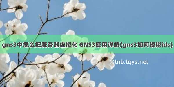 gns3中怎么把服务器虚拟化 GNS3使用详解(gns3如何模拟ids)