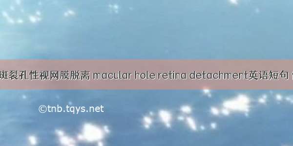 近视性黄斑裂孔性视网膜脱离 macular hole retina detachment英语短句 例句大全