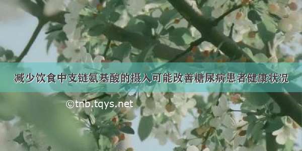 减少饮食中支链氨基酸的摄入可能改善糖尿病患者健康状况