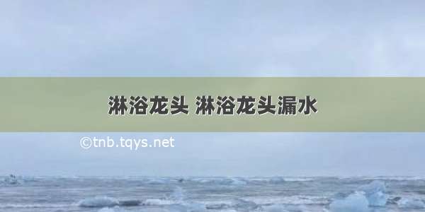 淋浴龙头 淋浴龙头漏水