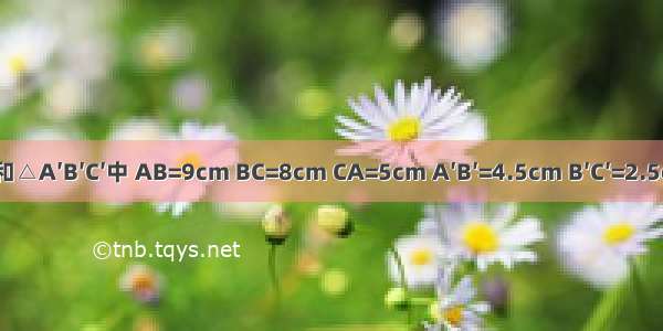 △ABC和△A′B′C′中 AB=9cm BC=8cm CA=5cm A′B′=4.5cm B′C′=2.5cm C′A′