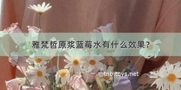 雅梵哲原浆蓝莓水有什么效果？