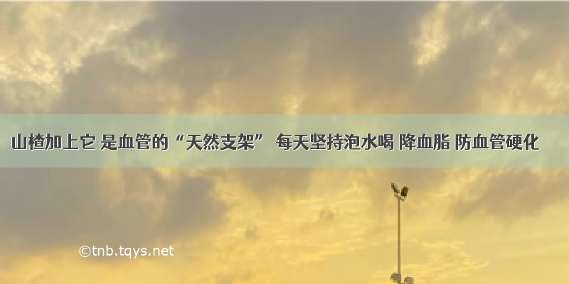 山楂加上它 是血管的“天然支架” 每天坚持泡水喝 降血脂 防血管硬化