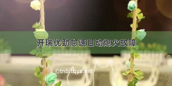 开瑞优劲怠速自动熄火故障