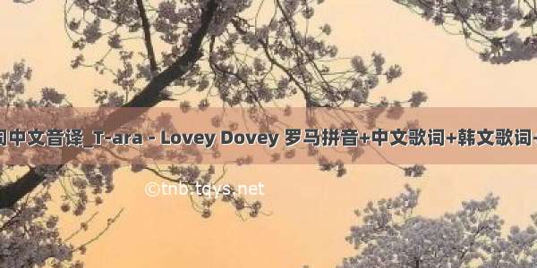 undo歌词中文音译_T-ara - Lovey Dovey 罗马拼音+中文歌词+韩文歌词+中文音译