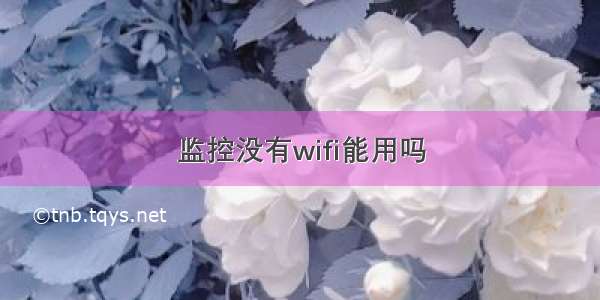 监控没有wifi能用吗