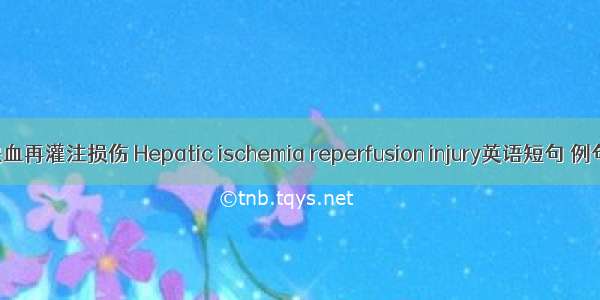 肝脏缺血再灌注损伤 Hepatic ischemia reperfusion injury英语短句 例句大全