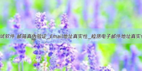 邮箱真实性测试软件 邮箱真伪验证_Email地址真实性_检测电子邮件地址真实性_API接口...