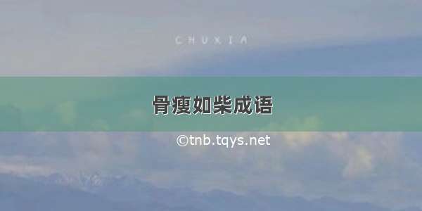 骨瘦如柴成语