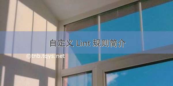 自定义 Lint 规则简介