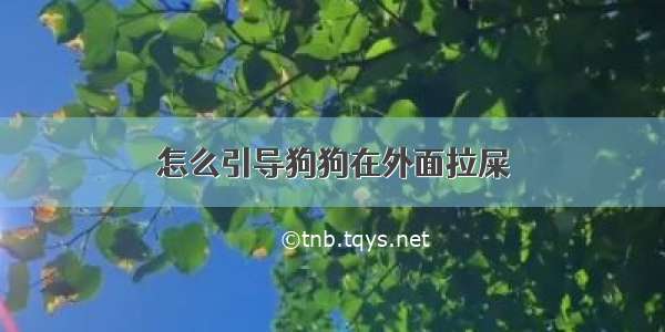 怎么引导狗狗在外面拉屎