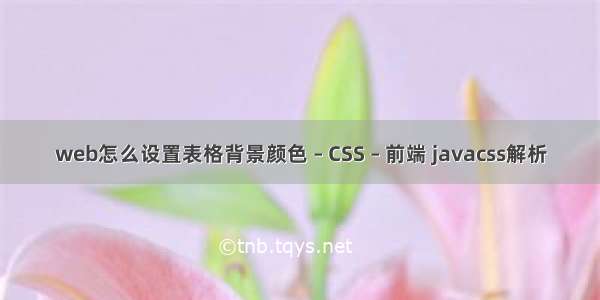 web怎么设置表格背景颜色 – CSS – 前端 javacss解析