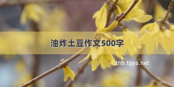 油炸土豆作文500字