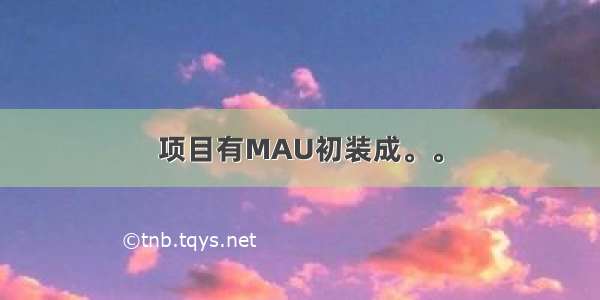 项目有MAU初装成。。