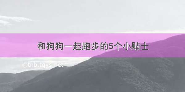 和狗狗一起跑步的5个小贴士