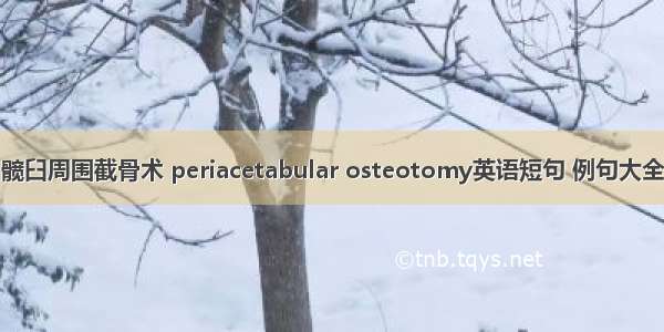 髋臼周围截骨术 periacetabular osteotomy英语短句 例句大全