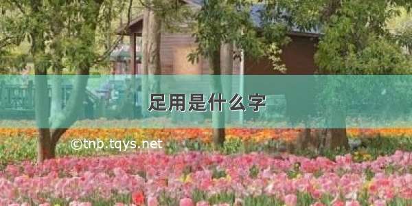 足用是什么字