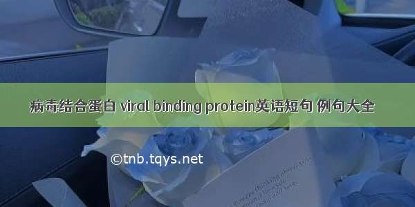 病毒结合蛋白 viral binding protein英语短句 例句大全