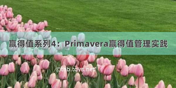 赢得值系列4：Primavera赢得值管理实践