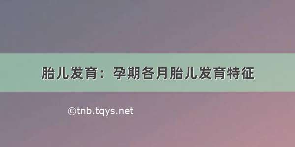 胎儿发育：孕期各月胎儿发育特征