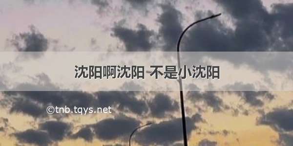 沈阳啊沈阳 不是小沈阳