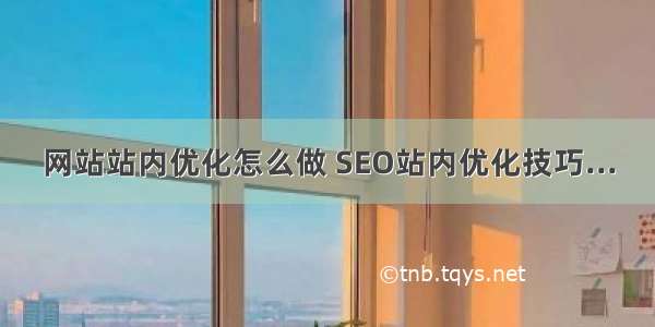 网站站内优化怎么做 SEO站内优化技巧...